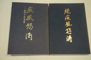 疾風怒濤　県政二十年のあゆみ(千葉県知事　友納武人)　正・続2冊揃