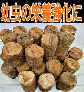 カブトムシ幼虫の栄養強化に！椎茸菌床ブロック【20個】マットに埋め込むだけで幼虫が潜り込みモリモリ食べて大きくなります☆クヌギ100％