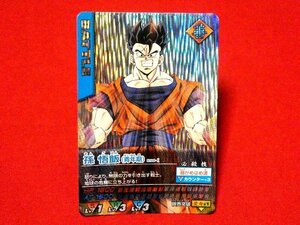 ドラゴンボール　データカードダス　DRAGONBALL　TradingCard　キラカードトレカ　孫悟飯　098-Ⅰ