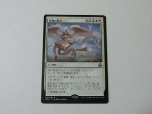 MTG 美品 【正義の命令】 （レア） DDO 日 3枚迄