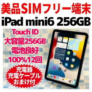 美品 SIMフリー iPad mini6 本体 256GB 495 グレイ
