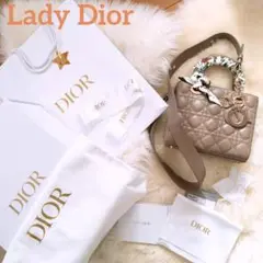 DIOR レディーディオール バック