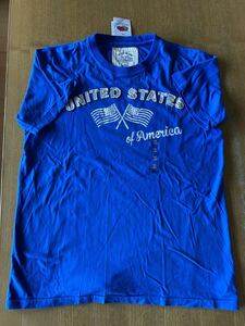 FRUIT OF THE LOOM USA T-SHIRT フルーツ オブ ザ ルームUSA Tシャツ XL 青
