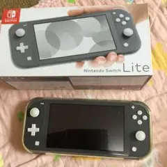 コメント要SWITCH LITE 本体、おまけ