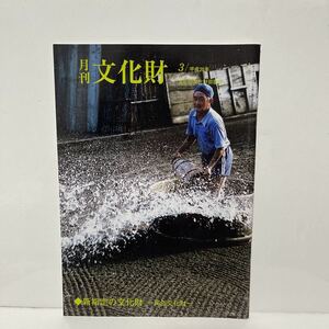 月刊文化財 2008年（平成20年） 3月号 ◆新指定の文化財 ー民俗文化財ー