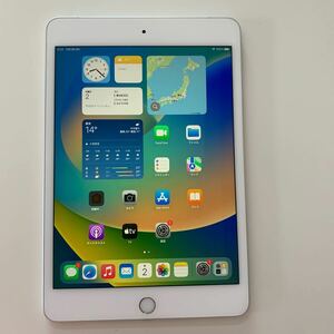 iPad mini5 64GB A2124 Wi-Fi+Cellular 7.9インチ 第5世代 中古 SIMフリー 番号：pd006