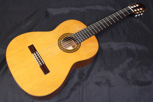 今だけお買い得　新品 Aria(アリア) / ACE-5C 650 CDR スペイン製 クラシックギター ※全国送料無料(一部地域は除きます。)