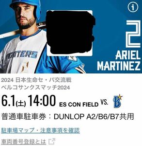 交流戦 日本ハムファイターズ vs DeNA　2024年 6/1（土）DUNLOP PARKING A2/B6/B7共用　普通車駐車券　1枚　エスコンフィールド北海道