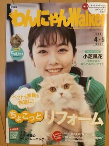 小芝風花　★わんにゃんWalker 2021／4・5月号(全28ページ) ★A4サイズ　★新品・非売品