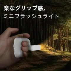 ハンズフリー キャンプライト ランタン ミニマライト キャプ用品 充電式 小型