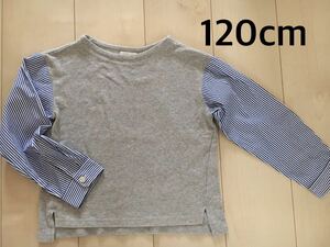 ブランシェス　120cm　長袖シャツ　カットソー　シャツ　ブラウス　トップス　Tシャツ　BRANSHES