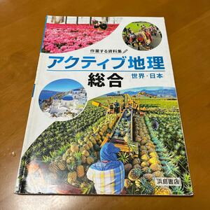 アクティブ地理　世界、日本　総合　作業する資料集　浜島書店