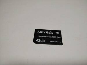 一部色塗り有り　2GB　SanDisk　メモリースティックプロデュオ　MEMORY STICK PRO DUO　メモリーカード