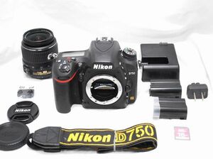 【新品同様の超美品 498ショット・豪華セット】Nikon ニコン D750 AF-S DX NIKKOR ED 18-55mm f/3.5-5.6 G Ⅱ