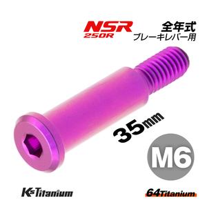 チタンボルト M6×35 P1.0 パープル 1本 ピポットボルト スレッド 12mm ホンダ NSR250 ハンドル ブレーキ レバー ボルト バイク レストア