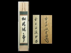 【心庵】掛軸　藤井誡堂　大徳寺派　紙本　一行書「松風颯々聲」／肉筆　共箱　真作　TL038