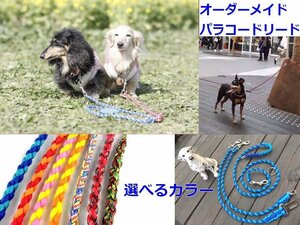 犬のリード【ライトブルー＆ベージュMIX】パラコードリード 軽い丈夫ほどくと8mの非常用強力ロープに　パラシュートコード利用 