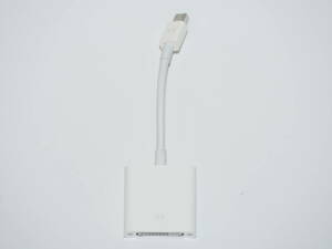 [送料込み][動作チェック] Apple純正 Mini DisplayPort - DVIアダプタ A1305