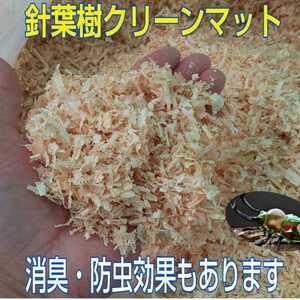 80L送料無料☆カブトムシ、クワガタの成虫飼育専用☆針葉樹クリーンマット☆ケース内が明るくなり生体が目立つ！ダニ、コバエも湧かない