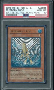 黄泉ガエル　Treeborn Frog　旧アジアレリーフ　PSA10