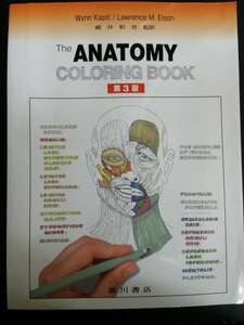 カラースケッチ解剖学　第３版　嶋井和世・監訳　頁抜けあり