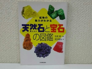 天然石と宝石の図鑑 塚田眞弘