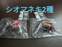 いきもの大図鑑ミニコレクション 甲殻類01　シオマネキ　ベニシオマネキ