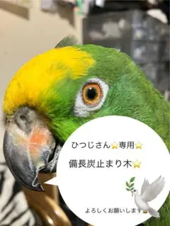 備長炭止まり木⭐️止まり木⭐️パーチ⭐️専用です♪(๑ᴖ◡ᴖ๑)♪✨