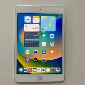 iPad mini5 64GB A2124 Wi-Fi+Cellular 7.9インチ 第5世代 中古 SIMフリー 番号：pd028 美品