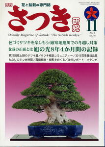 【月刊さつき研究】2015.11 ★ 旭の光 盆栽の正面とは / 色づくサツキを楽しもう