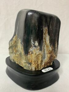 化石　木の化石　珪化木　天然石 鑑賞石 原石
