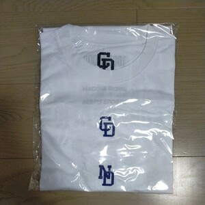 中日 ドラゴンズ ビームス Tシャツ バンテリン ドーム ナゴヤ BEAMS SPORTS ユニフォーム ドアラ 立浪 髙橋 大島 岡林 落合 細川 龍空