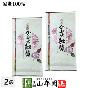 お茶 日本茶 煎茶 知覧かぶせ 100g×2袋セット 送料無料