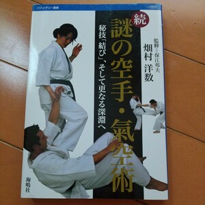 続　謎の空手　氣空術　合気空手道の誕生 保江邦夫　古武道　武術　柔術　合気道　拳法　空手　護身術　大東流　少林寺拳法