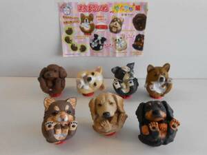 ♯Jqi22HZまんまるどうぶつまんまるいぬやんちゃ編フルコンプ7種♂TAKARATOMYARTS♀200円〓013899_c