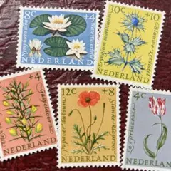 52566セール現品限り　外国切手未使用　オランダ発行植物5種揃