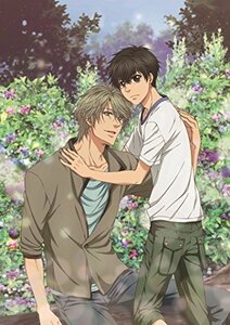 SUPER LOVERS 2第4巻限定版 [DVD]　(shin