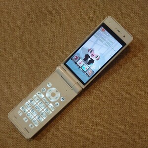 キズ無美品 P-01F docomo 