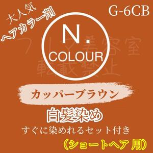 エヌドット　白髪染めセット　カッパーブラウン　G-6CB（落ち着いた明るさ）