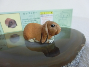 【 海洋堂 】 チョコエッグ ペット動物 コレクション 2 ★ ロップイヤー (ブラウン) P27A ★ チョコエッグ Furuta KAIYODO