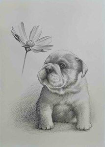 絵画・鉛筆画 可愛い愛犬の絵 真作「ブルドック・ベビー秋の香り Bu-2」九利多 祐志 作 A4サイズ ※額縁は付いていません。