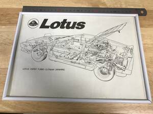 ロータス エスプリ ターボ 透視図 / Lotus Esprit Turbo Cutaway Drawing (額装)