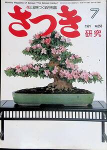 さつき　研究　1991　7　NO.256　④　YB230505K2