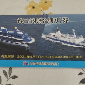 東海汽船 株主優待券１冊☆有効期限期限2024年9月３０日まで☆送料無料