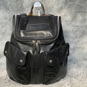 極美品 A4収納可能 Felisi フェリージ リュック バックパック デイパック オールレザー 通勤 ビジネス 大容量 バッグ 鞄 ブラック メンズ