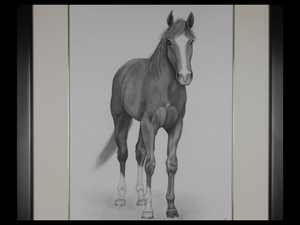 遠藤光子 デッサン 鉛筆画 ユキノビジン（サラブレッド/競走馬）額装 馬 写実リアリズム 細密描写