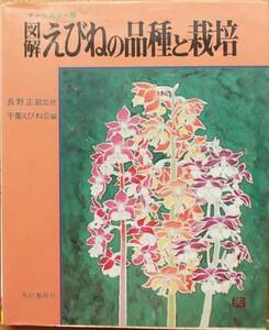 図解えびねの品種と栽培 長野正紘監修a