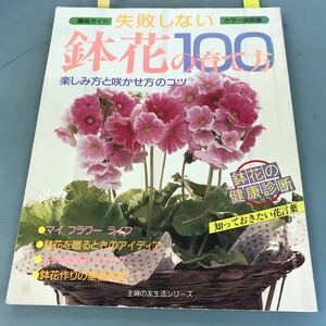 B09-041 失敗しない鉢花100の育て方 人気の鉢花カタログと楽しみ方・管理のコツ 主婦の友社 書込み有