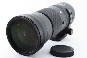 ★外観極上品★SIGMA シグマ 150-600mm F5-6.3 DG OS HSM Contemporary Canon EFマウント★6643