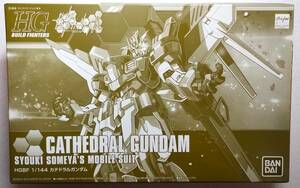 HG カテドラルガンダム 1/144 CATHEDRALGUNDAM HGBFガンダムビルドファイターズA(アメイジング) プレミアムバンダイ プレバン 未使用未組立